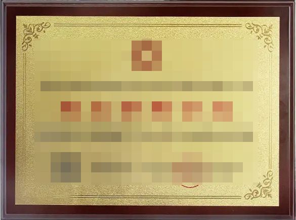 突出贡献企业